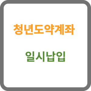 청년도약계좌 일시납입