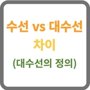 수선 대수선 차이