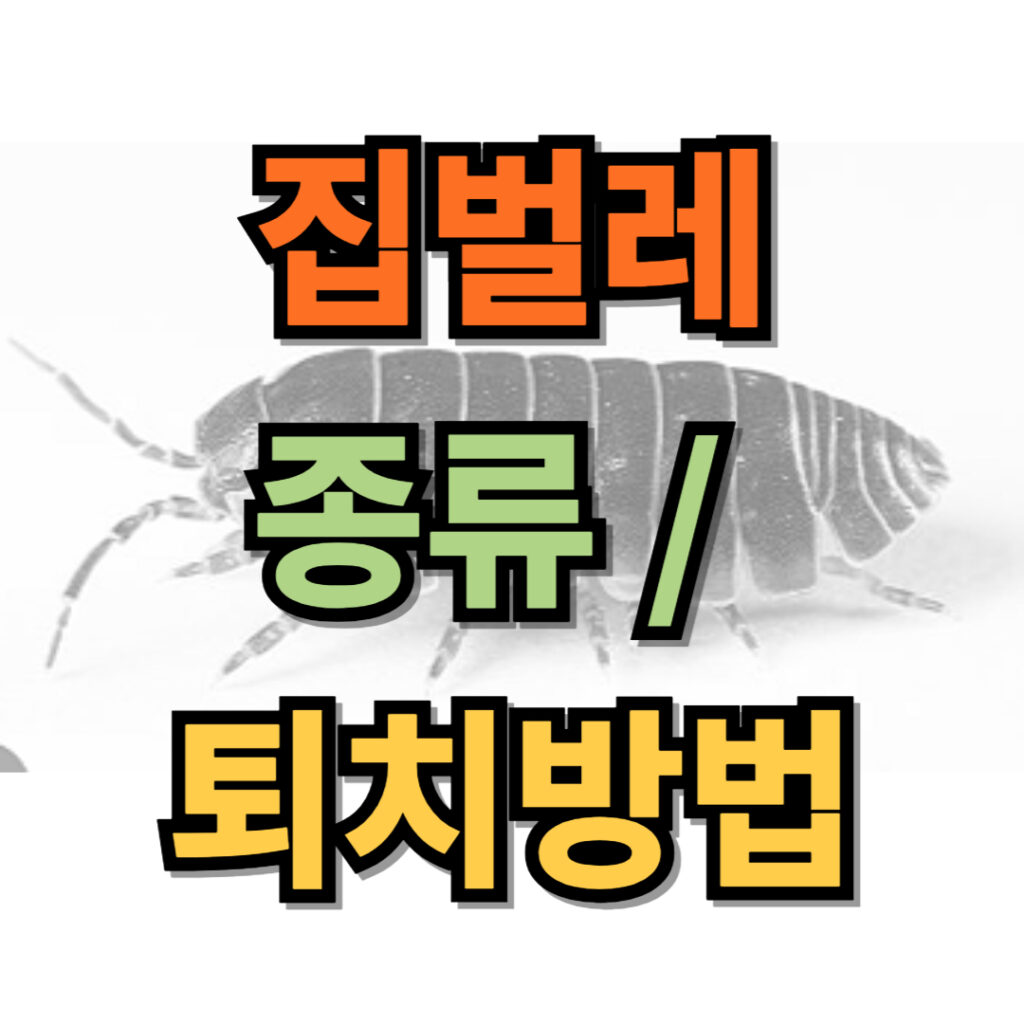 집벌레 종류 및 퇴치방법