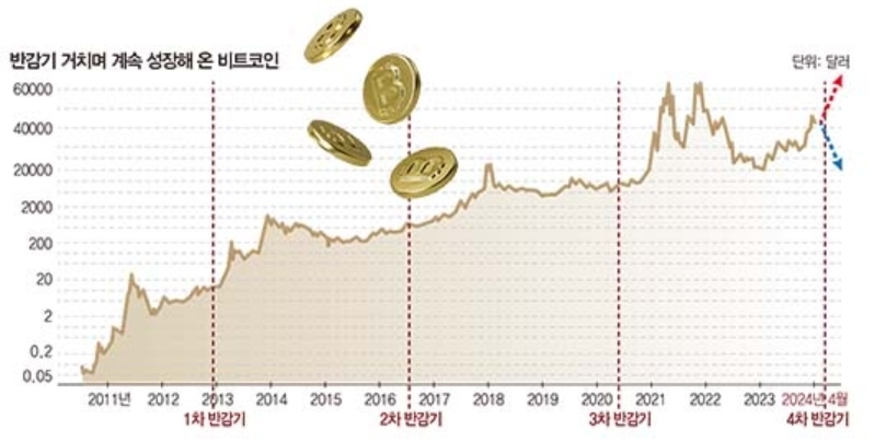 비트코인 반감기 차트